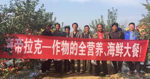 蘋果樹12月管理技術要點！抓緊時間看